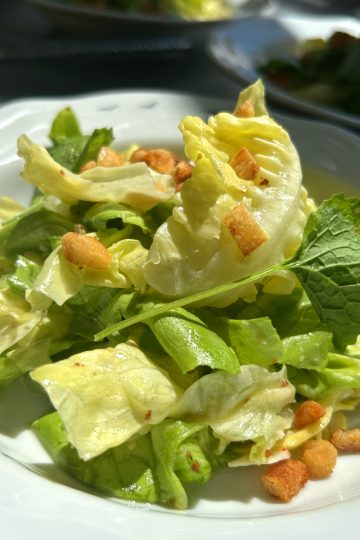 Caesar Salat mit Römersalat, frischen Kräutern aus dem Küchengarten und gerösteten Croutons auf weißem Teller