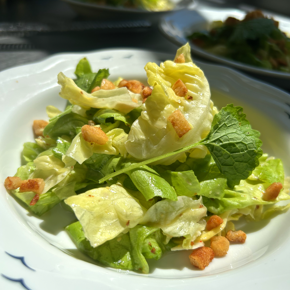 Caesar Salat mit Römersalat, frischen Kräutern aus dem Küchengarten und gerösteten Croutons auf weißem Teller